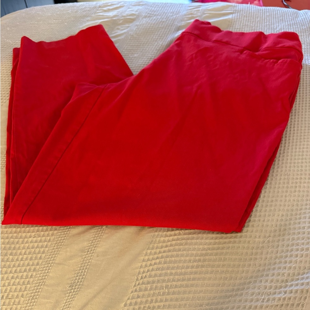 Terra & Sky Bold Red Casual pants size 2x
